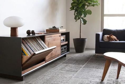 Audio Console, Music Setup, Hifi Room, Audiophile Room, Audiophile Listening Room, Cabinet Inspiration, Record Room, Vinyl Room, Lp Storage