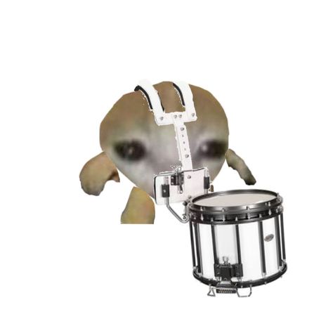 Monkey Playing Drums, Marching Drum, Marching Snare, Drum Sets, Band Camp, Band Kid, Band Humor, Musical Art, Snare Drum