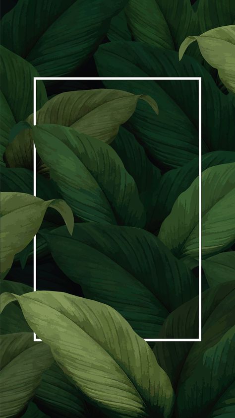 Instagram Pattern, Bg Design, Tropical Leaves Pattern, Tropical Background, Plant Wallpaper, Tropical Foliage, Brand Shop, Leaf Background, Instagram Frame