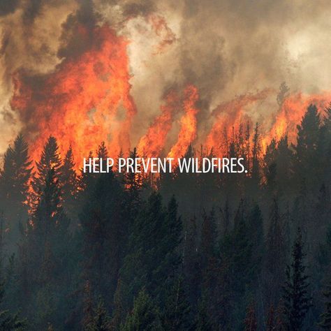 BC Wildfire Service @BCGovFireInfo On average 42% of BC wildfires are human-caused with 59% sparked by people last year. Be responsible and report wildfires to 1-800 663-5555 or *5555 on your cell. Be Responsible, Wild Fire, Fire Prevention, Fire Art, 1 800, Poster Design, Art Design, Human, Movie Posters