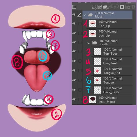 Vtuber mouth -divided into layers - CLIP STUDIO ASSETS Vtuber Model Separation Guide, Live2d Mouth Chart, V Tuber Model Base Sheet, Make Vtuber Model, Vtuber Eyes Male, Chibi Vtuber Base, Vtuber Model Layers, Vtuber Eye Layers, Vtuber Face Expressions