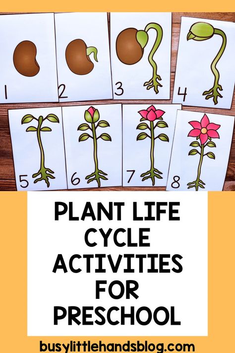 Looking for the perfect plant themed activities for preschoolers? These plant activities and gardening activities for preschoolers are just what you need! With five engaging literacy activities and five math activities included, this unit is perfect for use in preschool literacy and math centers, as well as for whole-group instruction. This spring thematic unit will make planning much easier, with a literacy and math activity for each day of the week. Plants Literacy Activities Preschool, Gardening Activities For Preschoolers, Spring Theme Activities, Plants Life Cycle Activities, Preschool Classroom Setup, Big Bush, Gardening Activities, Literacy Activities Preschool, Numeracy Activities