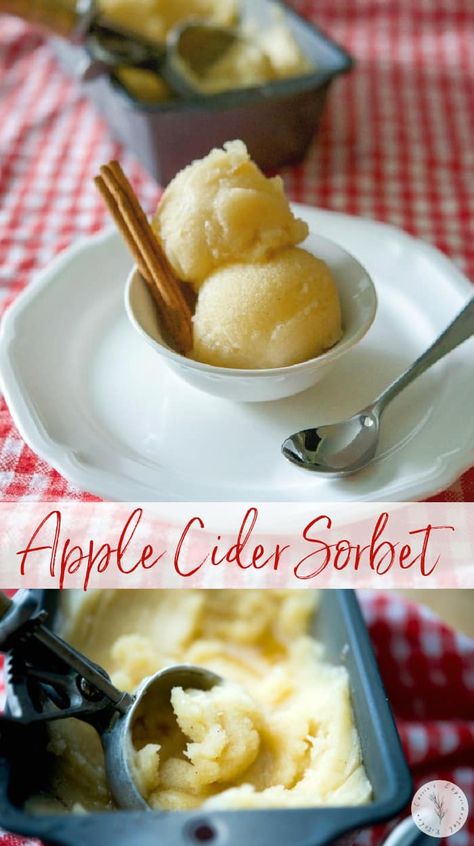 Sherbet Recipes, Eye Scream, Weight Watcher Desserts, Sorbet Ice Cream, Fall Drink, Frozen Dessert Recipe, Homemade Ice Cream Recipes, Sorbet Recipes, Low Carb Dessert