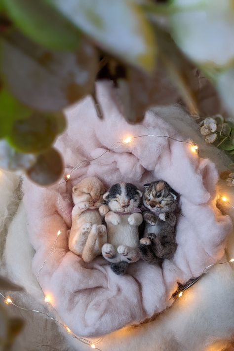 Needle felted realistic newborn kittens #newbornkittens #cats #calicocat #gingercat #TabbyCat Newborn Kitten Photoshoot, Kitten Photography, Tracing Art, Needle Felted Cat, Draw Animals, Newborn Kittens, Kitten Photos, Felt Cat, Newborn Crochet