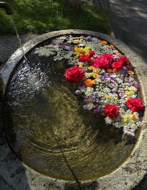 Study Cottagecore, Interior Boho, Flower Bath, Jolie Photo, Nature Aesthetic, Dream Garden, Pretty Flowers, Bird Bath, Pretty Pictures