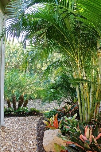 Landscaping Tropical, Tropical Yard, Garden Corner Ideas, Sophisticated Garden, Desert Backyard, South Goa, Tropical Landscape Design, Garden Tropical, Courtyard Gardens