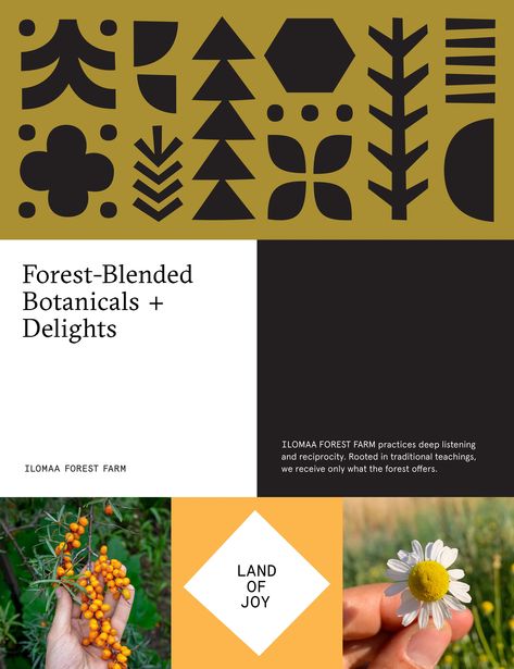 ILOMAA FOREST FARM :: Behance