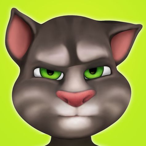 ‎Outfit7 Limited Apps on the App Store Funny Apps, Talking Tom Cat, My Talking Tom, Picture Of A Person, Tom Cat, Subway Surfers, Talking Tom, Virtual Pet, Adventure Games