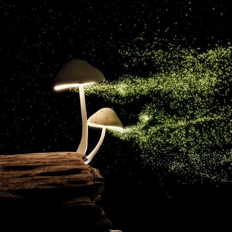 To spread forth and multiply, fungi — including the familiar amanita muscaria — shoot their spores into wafting breezes. A new paper published Wednesday helps explain how fun...  #mushyluv #growingmushroomsathome #mushrooms Karina Halle, Burst Bubble, Growing Mushrooms At Home, Mushroom Spores, Amanita Muscaria, Materials Science, New Paper, Art Music, Halle