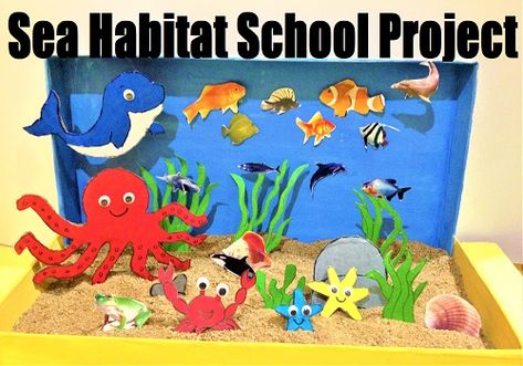 Sea habitat (aquatic animals) school project diorama model for kids Shark Habitat Project For Kids, Water Animal Craft, Habitats Projects For Kids, Diorama Ideas For Kids School Projects, Ocean Habitat Project For Kids, Water Animals Activities For Kids, Ocean Habitat Project, Diorama Ideas Diy, Ocean Diorama Project