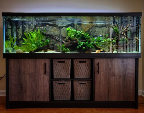 Fishtank Stands, 100 Gallon Aquarium, 125 Gallon Aquarium, Fish Tank Background, Axolotl Tank, Aquarium Store, Ocean Aquarium, Fish Tank Stand, Fish Tank Terrarium