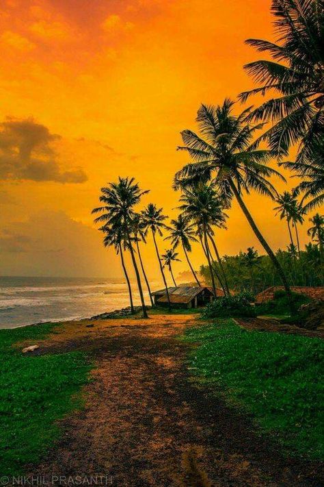 Kerala Landscape Photography, Kerala Village Photography, Kerala Scenery, Kerala Background, Konkan Nature, Kerala Nature Images, Kerala Pictures, Kerala Beach, Varkala Beach