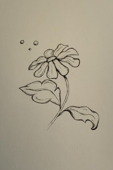 Drawing Made Easy, Daisy Drawing, Flower Outline, Flower Sketches, Drawing Drawing, Under Water, Painting Class, No Color, Pencil Sketch