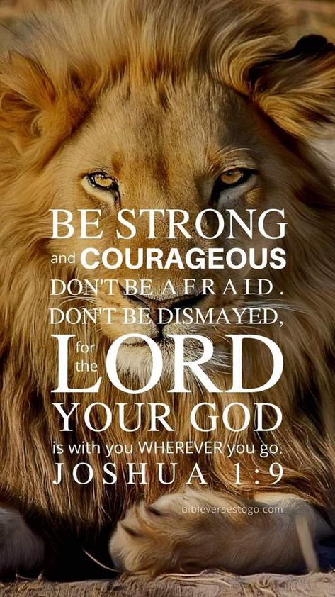 Wallpaper Ayat Alkitab, Lion Bible Verse, Verses About Strength, Scripture Wallpaper, Lion Quotes, Bible Verse Background, Bible Verses About Strength, Powerful Bible Verses, Quotes Bible