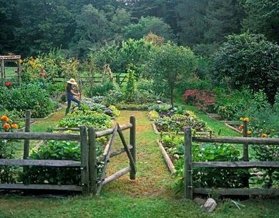 French Cottage Garden, Plantarea Legumelor, Potager Garden, The Secret Garden, Vegetable Garden Design, Garden Tours, Plants And Flowers, Garden Care, Perfect Garden