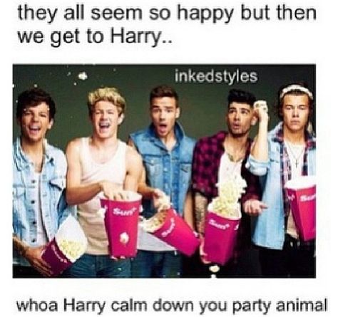 calm down curly!! xD One Direction 2014, One Direction Louis, Fun Walk, Midnight Memories, Les Paul Custom, Let Her Go, 1d And 5sos, I Love One Direction, 1 Direction