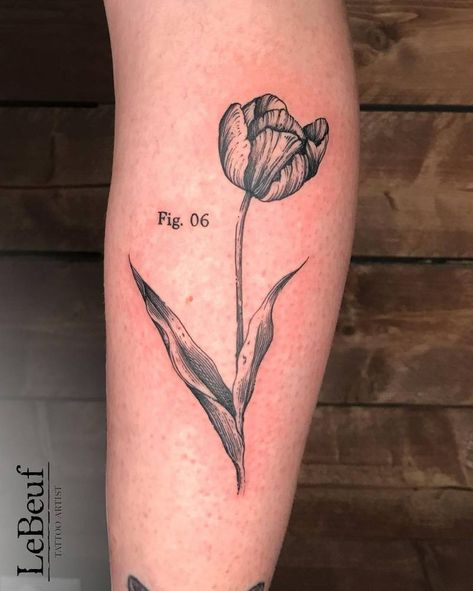 Vase With Tulips Tattoo, Etching Flower Tattoo, Tulip Line Work Tattoo, Large Tulip Tattoo, Scientific Illustration Tattoo, Ornamental Tulip Tattoo, Above Knee Tattoos Women, Antique Tattoo, Etching Tattoo