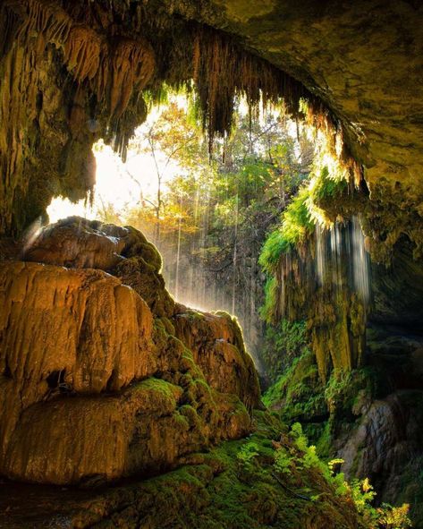 Take a Hike to This Stunning 40-Foot Waterfall & Cave Near Austin, TX | UrbanMatter Austin Waterfall Cave, Natural Cave, Underground Cities, Cave Paintings, Take A Hike, Beautiful Photos Of Nature, Vacation Places, Book Ideas, Beautiful Places To Visit