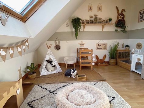 Bunny Organization Ideas, Rabbit Room Setup, Bunny Space Ideas, Bunny Homes Indoor, Rabbit Set Up, Rabbit Room Ideas, Rabbit Room Ideas Indoor, Bunny Room Ideas, Bunny Sanctuary