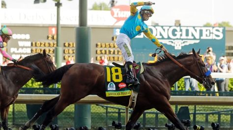 American Pharoah has won the 141st Kentucky Derby before a record-setting crowd at Churchill Downs. Kentucky Derby Horses, Thoroughbred Racehorse, Preakness Stakes, American Pharoah, Derby Winners, Triple Crown Winners, Derby Horse, Belmont Stakes, Churchill Downs