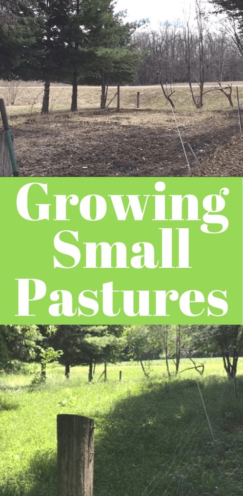 Small Cow Pasture Ideas, Small Scale Permaculture, Small Farm Animal Pens, 50 Acre Farm Layout, Small Acreage Farm, Farm Hacks Horse, Farm Hacks Cattle, Small Acreage Horse Farm, Small Farm Layout