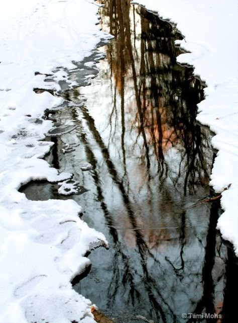 Melting Snow Aesthetic, Melting Snow, First Signs Of Spring, Spring Snow, Snow Melting, Snow Forest, End Of Winter, Water Reflections, 수채화 그림