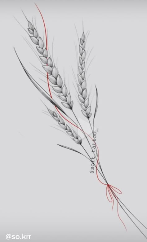 Wheat Tattoo Designs For Women, Wheat Sheath Tattoo, Hay Tattoo Ideas, Wheat Tattoos For Women, Farm Tattoos For Women, Wheat Drawing, Farm Tattoo, Wheat Tattoo, Goose Tattoo