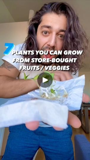 2.4M views · 1.3K comments | 7 Plants to Grow from Store-Bought Fruits and Veggies 😲🌱 | 7 Plants you can grow at home using store-bought fruits / vegetables! 🤯🌱
.
.
.
.
#plants #garden #gardening #lifehacks #diy #howto #tropical... | By creative explained | Facebook Vegetable Garden Hacks, Garden Allotment, Basement Garden, Creative Explained, Growing Fruit Trees, Essential Oil Diffuser Blends Recipes, Growing Cucumbers, Vegetable Garden Diy, Plant Seedlings