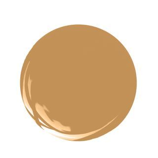 Butterscotch Sherwin Williams, Amber Paint Color, Rust Color Paint, Historic Paint Colours, Caramel Mocha, Interior Design Advice, Paint Brands, Color Paint, Design Advice