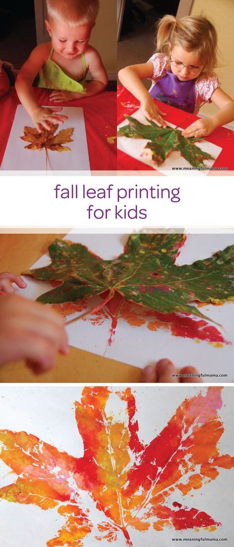 Let your little one enjoy an afternoon of painting and making a mess with child-safe paint and create this fall leaf printing toddler craft. This is a quick and creative DIY project that can easily double as a fun learning activity for your toddler to practice their fine motor skills. Leaf Printing, Toddler Craft, Fall Preschool, Diy Thanksgiving, Fall Crafts Diy, Fall Crafts For Kids, Autumn Crafts, Toddler Art, Fall Leaf