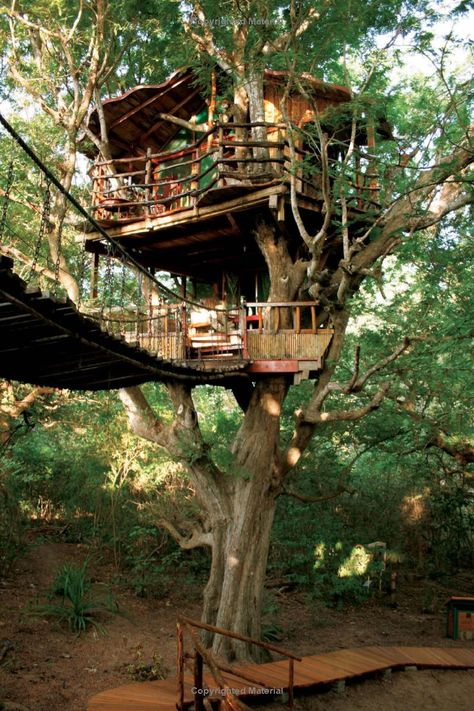 Treehouse Design Architecture, Treehouse Design, Beautiful Tree Houses, Treehouse Masters, Tree House Plans, Tree House Diy, Tree House Kids, Cool Tree Houses, Cozy Backyard