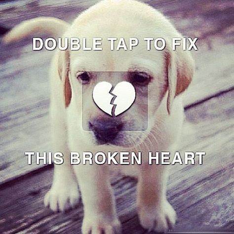 heart picture that says double tap | Double tap the broken heart to fix it. | Flickr - Photo Sharing! Instagram Heart, Pet Couches, Mood Off Images, Double Tap, Heart Pictures, Dog Tattoo, Bad Dog, Dog Tattoos, Dog Trainer