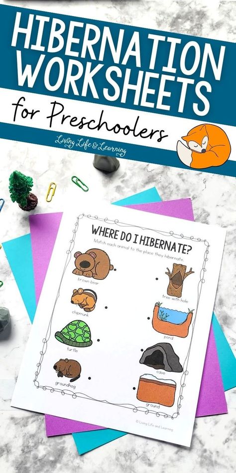 Hibernation Worksheets for Preschoolers Hibernation Migration Preschool, January Homeschool Theme, Hibernation Steam Activities, Winter Animals Hibernation Preschool, Winter Animal Science Activities, Hibernation Animals Preschool, Hibernation Lesson Plan Preschool, Winter Social Studies Preschool, Animals In The Winter Preschool