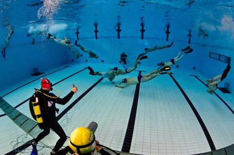 The 9th CMAS Underwater Rugby World Championships  Photo by: Markus Bjurén Underwater Rugby, Ulster Rugby, Rugby Scrum, Wales Rugby Union, Six Nations Rugby, World Championship, Rugby, Basketball Court, Water