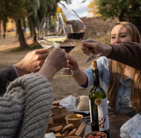 Maquis opens up wine tourism with manor house Travel Retail, Wine Tourism, Old Manor, Orange Wine, Chenin Blanc, Organic Wine, Family Estate, Two Rivers, Beer Bar