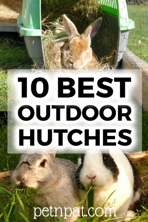 10 Best Outdoor Rabbit Hutches To Keep Your Bunny Safe #bunny #rabbit #rabbithutch #hutch #animals #pets Outdoor Bunny Habitat, Outdoor Bunny Hutch, Diy Bunny Hutch, Bunny Hutches, Large Hutch, Rabbit Cages Outdoor, Diy Hutch, Diy Bunny Cage, Rabbit Hutch And Run