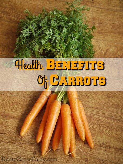 Do you love crunching on carrots? Did you know they are a super healthy power food? Check out the Health Benefits Of Carrots! http://reusegrowenjoy.com/health-benefits-of-carrots/ Carrots Benefits, Benefits Of Carrots, Health Benefits Of Carrots, Carrot Benefits, Frugal Gardening, Eating Carrots, Vegetable Benefits, Low Carb Vegetables, Power Foods