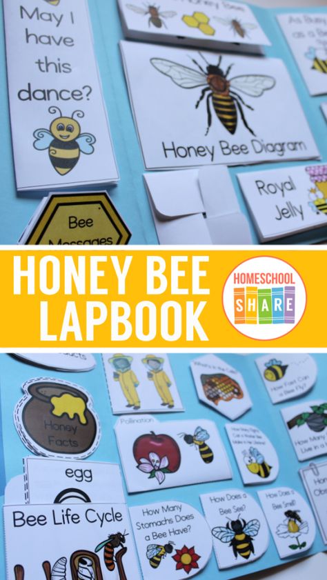 Bee Diagram, How Bees Make Honey, Honey Facts, Homeschool Science Lessons, Science Unit Studies, Bee Life Cycle, Bee Activities, Kid Science, Toy Making