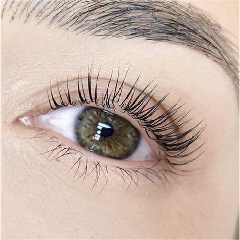 Lash Lift And Brow Lamination, Lash Lamination, Elleebana Lash Lift, Brow And Lash, Eyelash Perming, Lash Extension Glue, Lash And Brow Tint, Beauty Professional, Lash Lifting