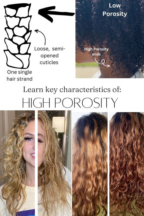 Learn life changing characteristics about high porosity hair care, how to start a curly hair regimen and what type of products will work best for your curls High Porosity Curly Hair, High Porosity Hair Care, High Porosity Hair Regimen, Wavy To Curly Hair, Types Of Curly Hair, Curly Hair Regimen, Curly Hair Tools, Healthy Curly Hair, High Porosity Hair