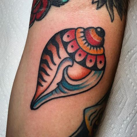 FAC American Traditional Shell Tattoo, Sea Shell Tattoo Traditional, American Traditional Hawaii Tattoo, Traditional Tattoo Turtle, American Traditional Tattoos Sea Life, Traditional Conch Shell Tattoo, Traditional Tattoo Women, Traditional Marine Life Tattoo, Bandit Tattoo