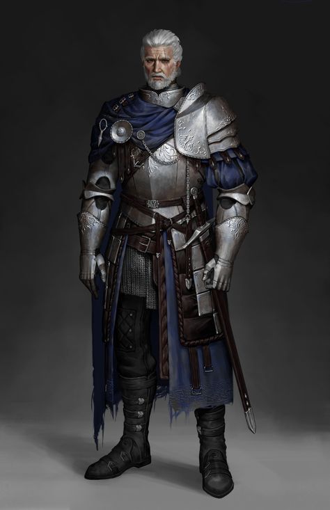 Medieval Knight Art, Old Knight, Dnd Fighter, Dnd Paladin, Noble Knight, Knight Art, Knight Armor, 캐릭터 드로잉, Dnd Art