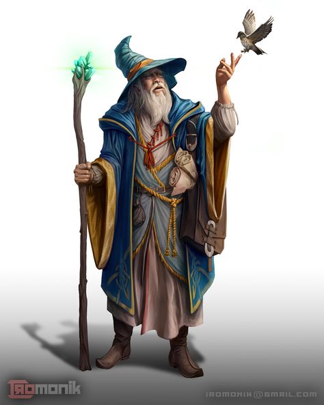 Wizard Character Art, Wizard Character, Old Wizard, Dnd Wizard, D D Character Ideas, Fantasy Wizard, Free Characters, Figure Drawing Reference, Arte Fantasy