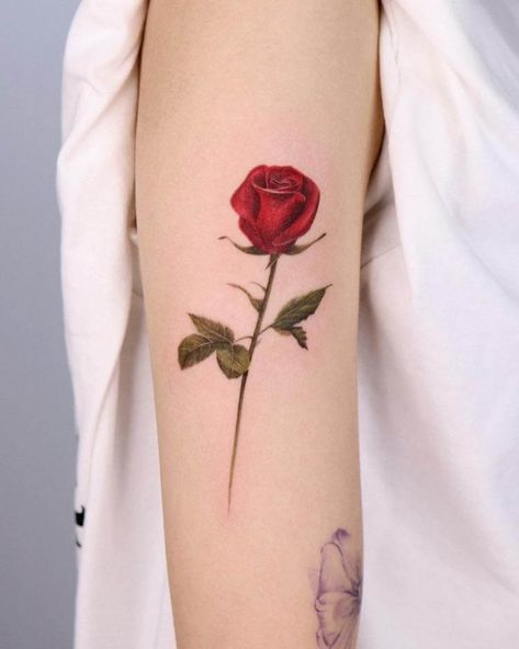 20 Rose Tattoo Ideas for Women - Mom's Got the Stuff Disney Rose Tattoo, Rose Forearm Tattoo, Safety Pin Tattoo, Heart Tat, Finger Tats, Red Rose Tattoo, Rose Tattoos For Women, Red Ink Tattoos, Rose Tattoo Design