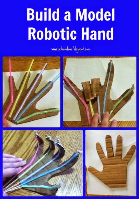 robotic hand pin Apologia Anatomy, Science Experience, Robotic Hand, Steam Ideas, Kid Science, Anatomy Physiology, Stem Challenge, Steam Activities, Stem Challenges