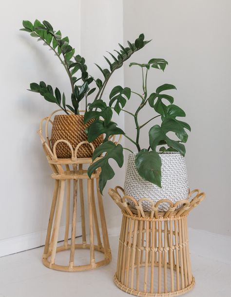 Cane Plant Stand, Boho Potted Plants, Plant Stand Monstera, Diy Boho Plant Stand, Monstera Plant Stand, Boho Plant Pots, Zz Plant Decor, Diy Plant Stand Indoor, Plant Nook