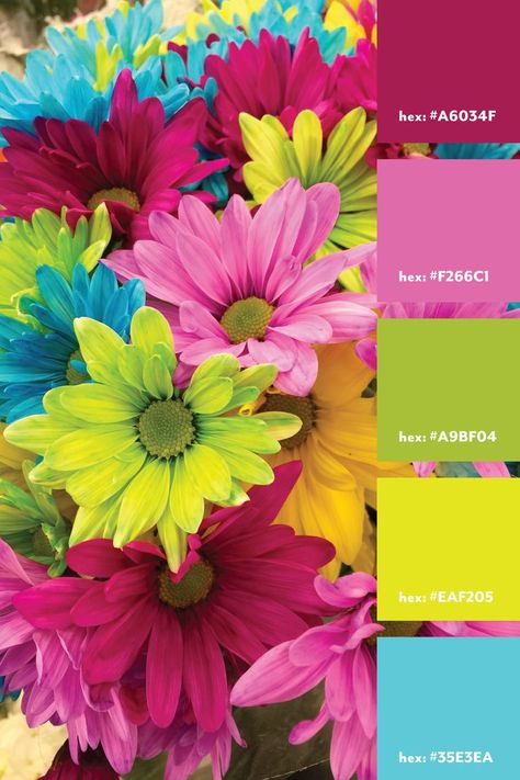 A neon color palette from an image of neon daisies Neon Color Palette, Color Mixing Chart Acrylic, Neon Colour Palette, Color Design Inspiration, Color Mixing Chart, Hex Color Palette, Color Schemes Colour Palettes, Color Palette Bright, Nature Color Palette