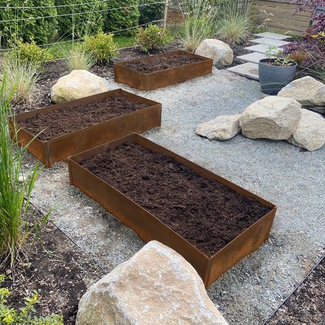 Raised Bed Kits Corten Steel Garden Beds, Backyard Raised Garden Beds Design, Modern Vegetable Garden, Steel Garden Beds, Raised Bed Garden Layout, Raised Garden Boxes, Metal Garden Edging, Raised Bed Kits, Outdoor Raised Garden Beds