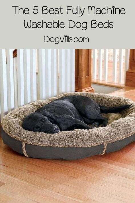 Comfy Dog Bed, Beds For Dogs, Dog Grooming Shop, Cool Dog Houses, Paracord Dog Collars, Washable Dog Bed, Dog House Diy, Diy Dog Bed, Best Dog Toys