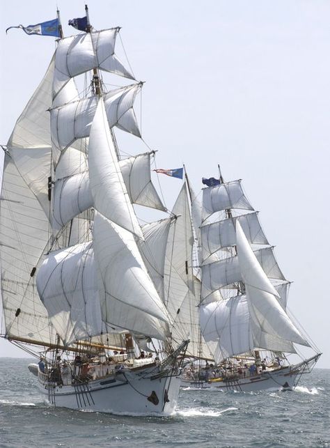 The twin brigantines, "Irving Johnson" and "Exy Johnson", under full sail with Harbor area youth. As far we know, these identical tall ships are the only twin brigantines in the world!: Full Rigged Ship, Merchant Seaman, Navi A Vela, Ship Sailing, Old Sailing Ships, Boat Sailing, Cutty Sark, Full Sail, Clipper Ship